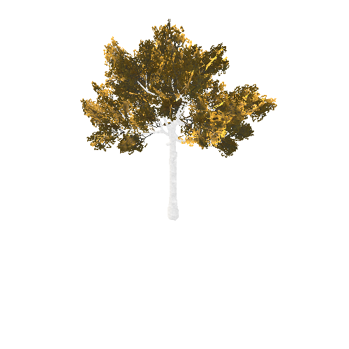 BeecthTree02GoldB2_afsTREE_xmvcb _xlod02_xlp